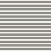 Striped Alike | Grey