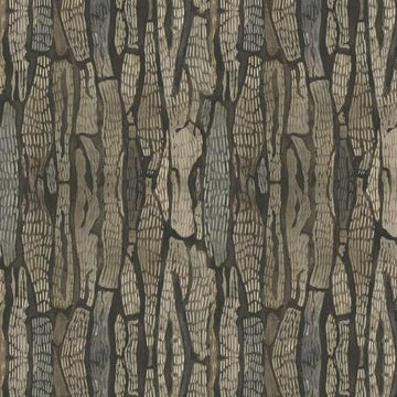 Forest Retreat | Bark Texture