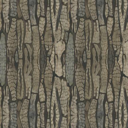Forest Retreat | Bark Texture