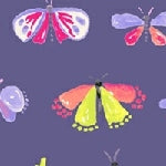 Aerial | Ivory Petites Betes