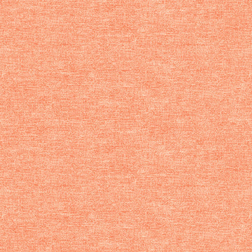 COTTON SHOT | Tangerine