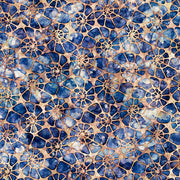 Aquatica | Brown Nautilus