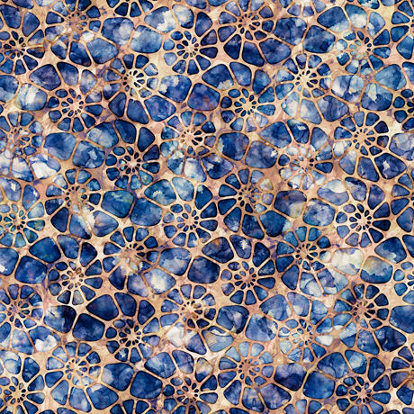 Aquatica | Brown Nautilus