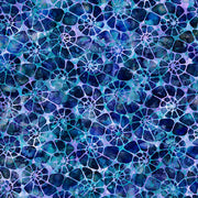 Aquatica | Blue Nautilus