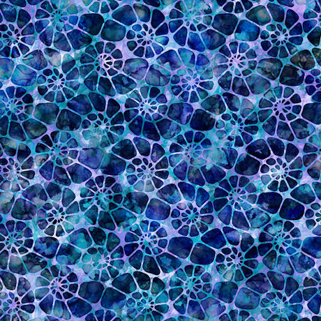 Aquatica | Blue Nautilus