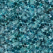 Aquatica | Teal Nautilus