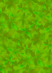 Palms | Green