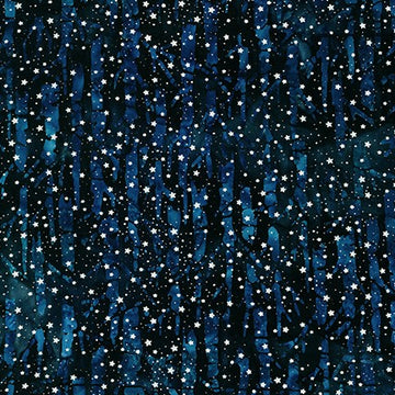 Magical Winter | Starry Night