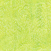 QE5 | Pistachio Rain