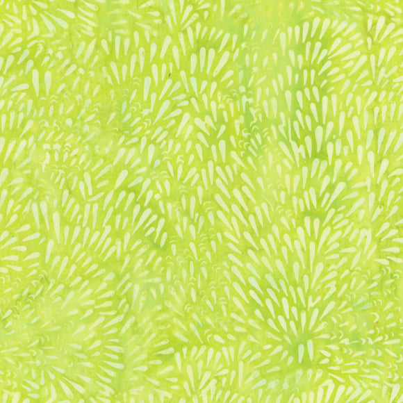 QE5 | Pistachio Rain