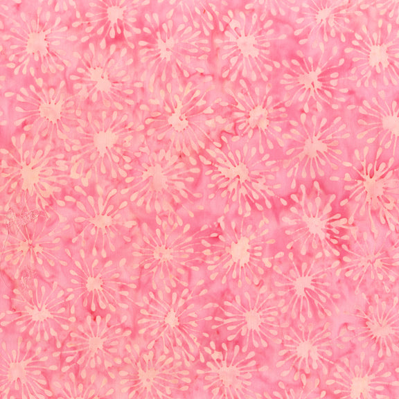 QE5 | Baby Girl Cells