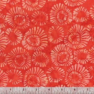 QE5 | Coral Mums