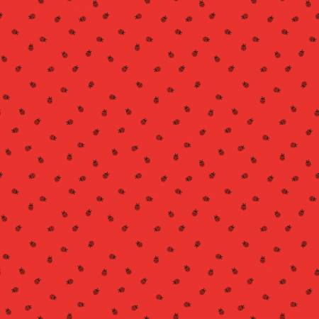 Red Hot | Ladybugs