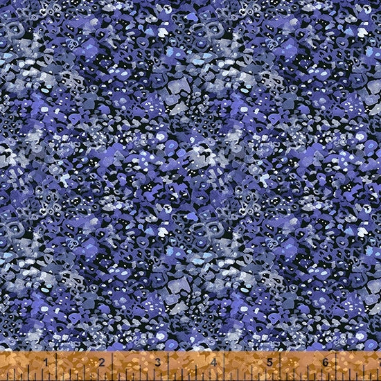 Deep Forest | Midnight Bumpy Toad