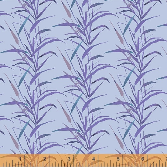 Deep Forest | Cornflower WildGrass