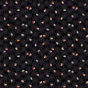 Starlight Spooks | Spiders