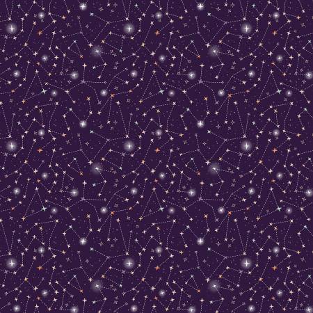 Starlight Spooks | Night Sky