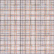 Starlight Spooks | Plaid