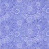 Begins w/ Mum | Calendula - Lavender