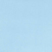 Minky | Baby Blue