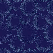 Documentaries | Starburst Navy