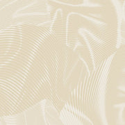 Echo | Cream