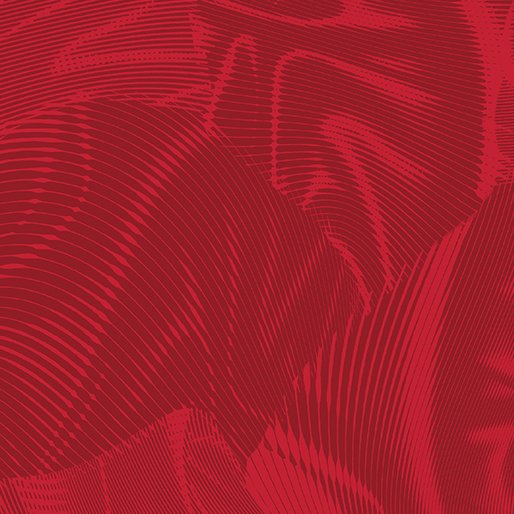 Echo | Red