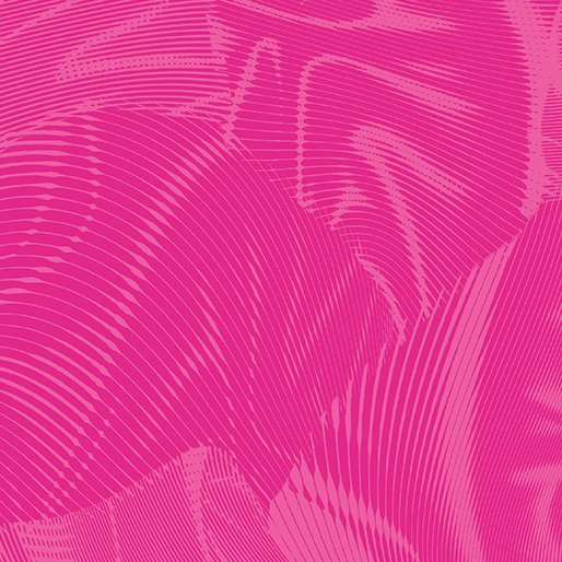 Echo | Fuchsia