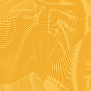 Echo | Sun Yellow