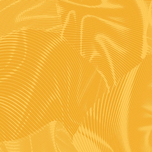 Echo | Sun Yellow