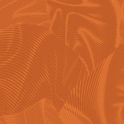 Echo | Pumpkin