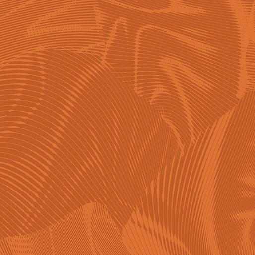 Echo | Pumpkin