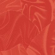 Echo | Orange