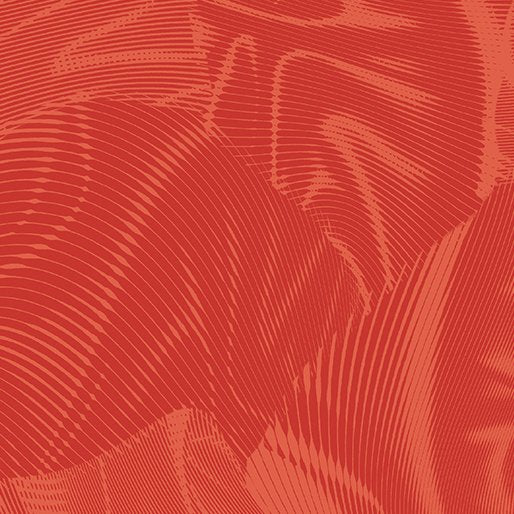 Echo | Orange