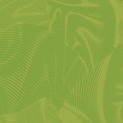 Echo | Medium Leaf