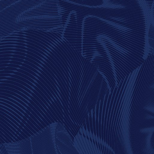 Echo | Dark Blue