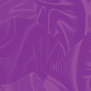 Echo | Violet