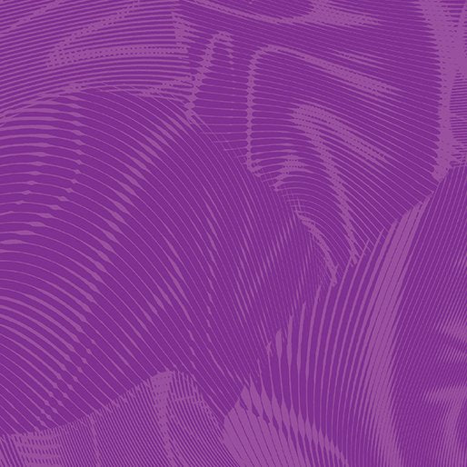 Echo | Violet