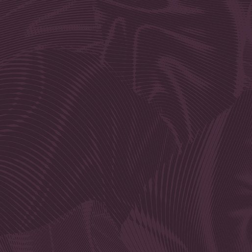 Echo | Dark Plum