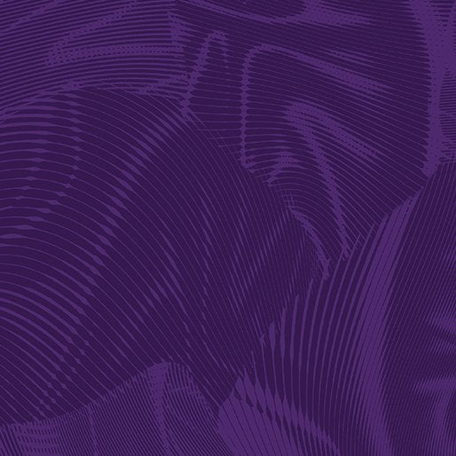 Echo | Dark Purple