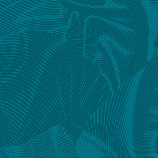 Echo | Teal