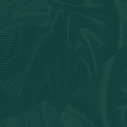 Echo | Dark Teal
