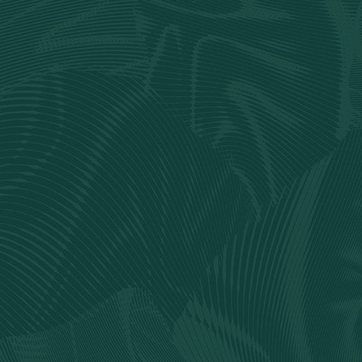 Echo | Dark Teal
