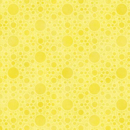 New Worlds | Lemon - Mauritius