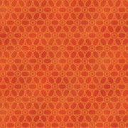 Newer Worlds | Eden - Persimmon