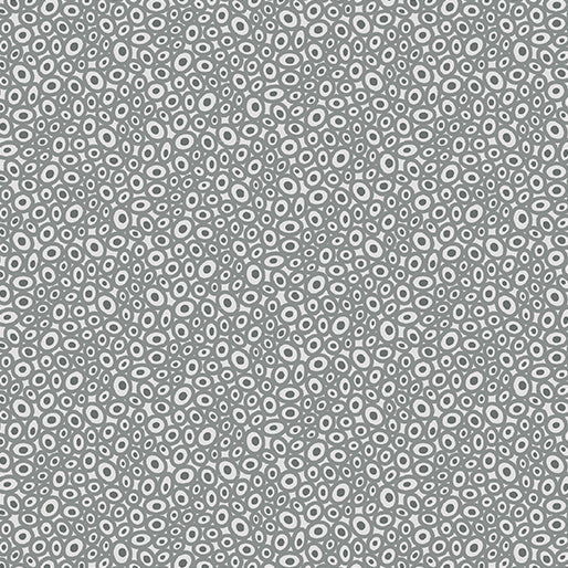 Transparency - Beads | Gray