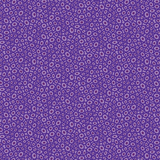 Transparency - Beads | Lavender