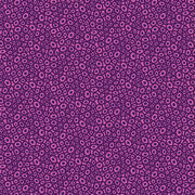 Transparency - Beads | Magenta