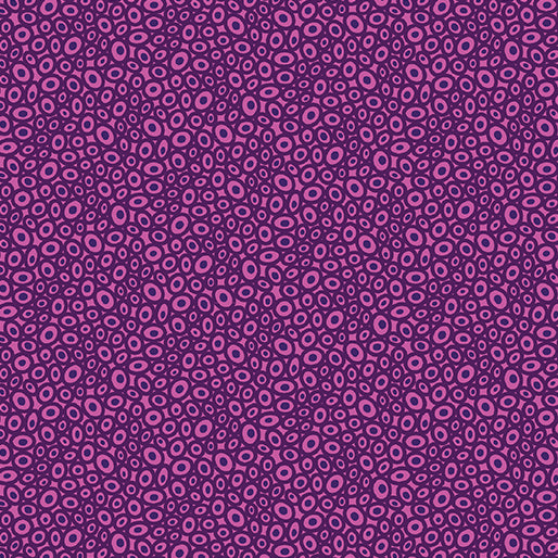 Transparency - Beads | Magenta