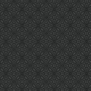Transparency - Medallion | Charcoal